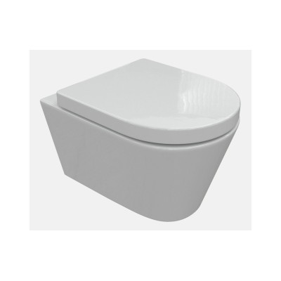 Cadiz Rimless Wall Hung WC & Soft Close Seat | Toilet Seats