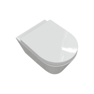 Cadiz Rimless Wall Hung WC & Soft Close Seat | Toilet Seats 2