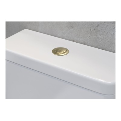 Dual Push Button Cover (Cable) - Brushed Brass | Bathroom Ac 2