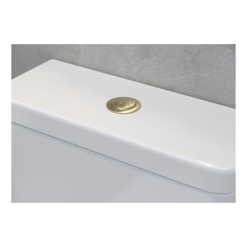 Dual Push Button Cover (Cable) - Brushed Brass | Bathroom Ac