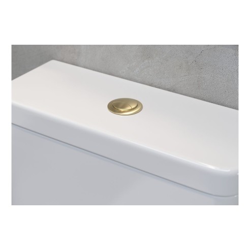 Dual Push Button Cover (Rod) - Brushed Brass | Bathroom Acce
