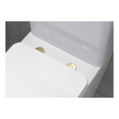 Toilet Seat Cover Caps - Brushed Brass | Bathroom Accessorie