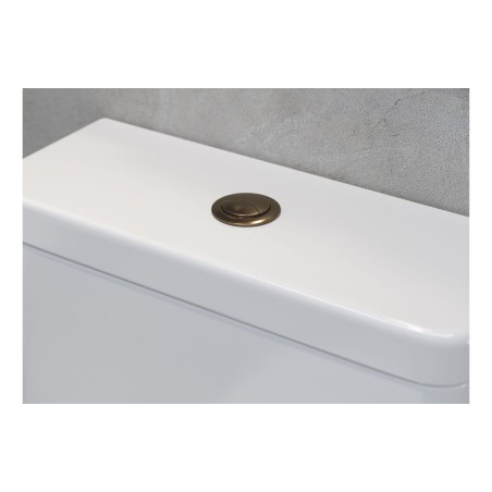 Dual Push Button (Cable) - Brushed Bronze | Bathroom Accesso
