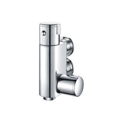 Douche Valve | Showers | BathroomKing