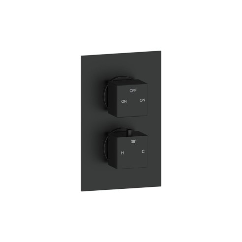 Pancho Thermostatic Two Outlet Twin Shower Valve - Matt Blac