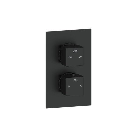 Pancho Thermostatic Two Outlet Twin Shower Valve - Matt Blac