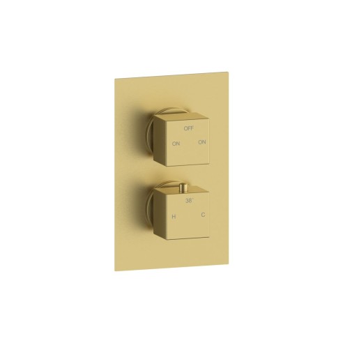 Pancho Thermostatic Two Outlet Twin Shower Valve - Brushed B