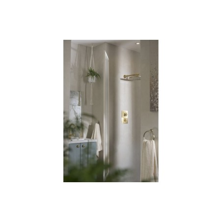Abode Serenitie Concealed Shower (2 Exit) - Antique Brass |