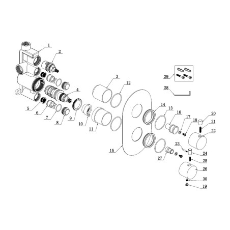 Alfredo Thermostatic Single Outlet Twin Shower Valve - Brush